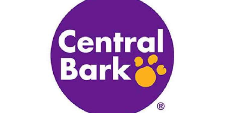 Puppy Hour: Socialización Segura para Cachorros