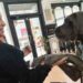 Revolución en el Cuidado de Mascotas en España