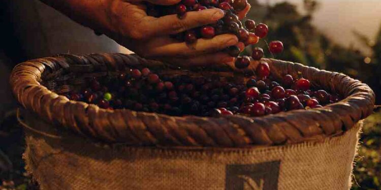 Sostenibilidad y Marketing: Una Nueva Era en Nespresso