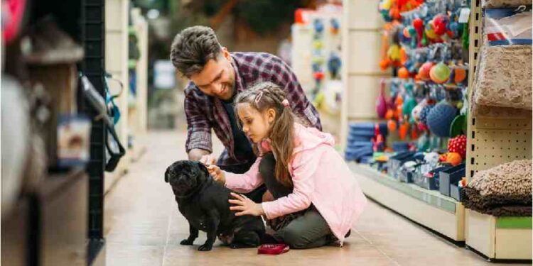 Transformación del Cuidado Animal en España