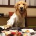 Una Aventura Japonesa: Viaje con Siu Tim