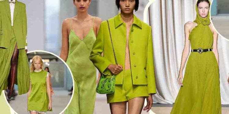 Verde Pistacho: La Nueva Sensación Otoñal