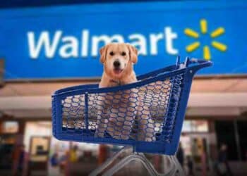 Walmart Expande Servicios para Mascotas