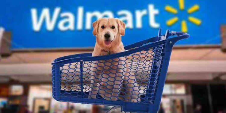 Walmart Expande Servicios para Mascotas