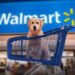 Walmart Expande Servicios para Mascotas