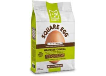 comida para perros, dieta vegana, salud canina, nutrición animal, bienestar animal