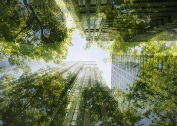Día Mundial del Ahorro de Energía