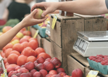 Las PyMEs en Colombia, motor de la economía y clave para la digitalización