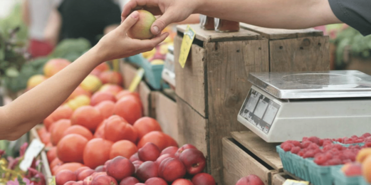 Las PyMEs en Colombia, motor de la economía y clave para la digitalización