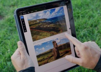 Adobe Lanza Acrobat a Precio Especial para ONGs