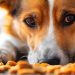 Alerta por Salmonella: Retiro Masivo de Golosinas para Perros