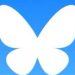 La nueva propuesta en redes sociales que atrae a los usuarios de X