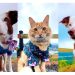 Bomba: La Nueva Colección Navideña para Mascotas