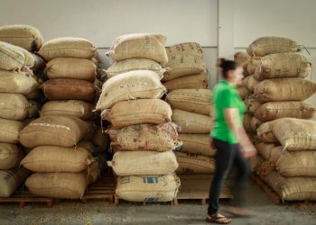 Transformación del agro colombiano, crecimiento récord de exportaciones