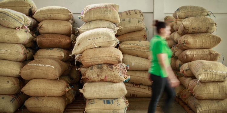 Transformación del agro colombiano, crecimiento récord de exportaciones