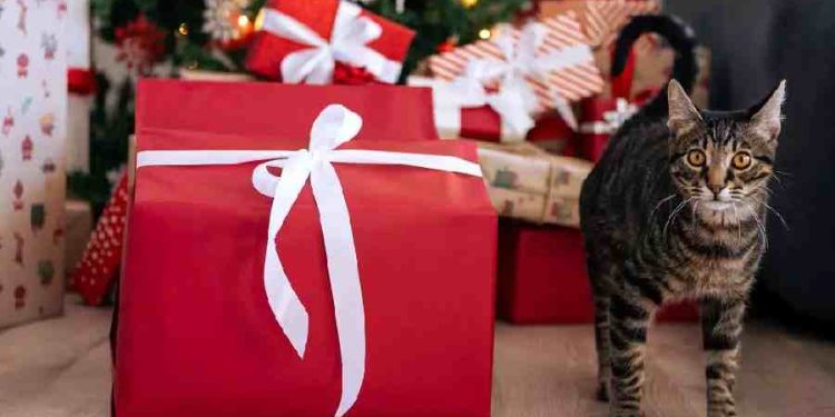 La navidad más cara: Así gastarán los españoles