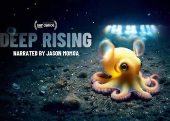 Deep Rising: NFTs y la Lucha por Salvar el Océano