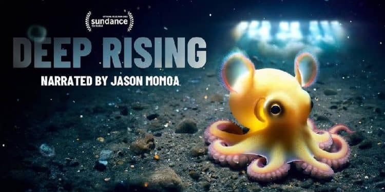 Deep Rising: NFTs y la Lucha por Salvar el Océano