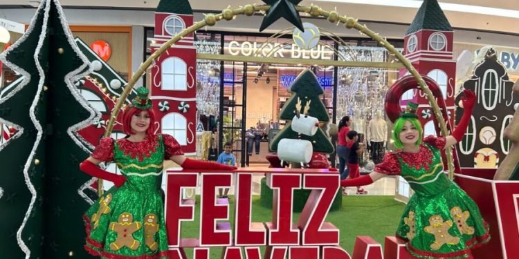 Bucaramanga enciende la navidad