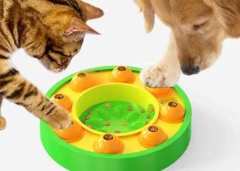 Juguetes que Transforman: Estimulación y Diversión para Tu Perro