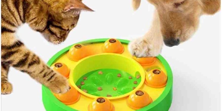 Juguetes que Transforman: Estimulación y Diversión para Tu Perro
