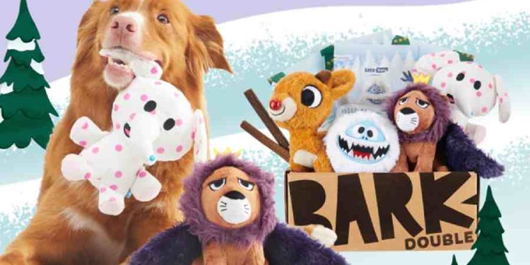 La Nueva Era de Productos para Mascotas: Bark & Graham