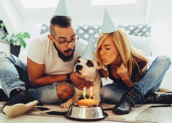 La Nueva Paternidad: Criar Mascotas en Tiempos Modernos