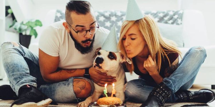 La Nueva Paternidad: Criar Mascotas en Tiempos Modernos