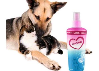 La Pasión por las Mascotas: El Éxito de CanAmor