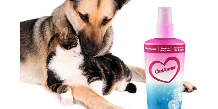 La Pasión por las Mascotas: El Éxito de CanAmor