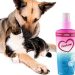 La Pasión por las Mascotas: El Éxito de CanAmor