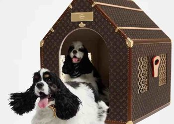 Lujo extremo: el Kennel Trunk de Louis Vuitton para mascotas