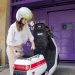 El impulso hacia una movilidad sostenible