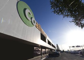 HD Covalco avanza en su expansión nacional con adquisición de Cashdiplo