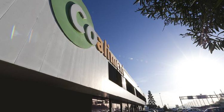 HD Covalco avanza en su expansión nacional con adquisición de Cashdiplo