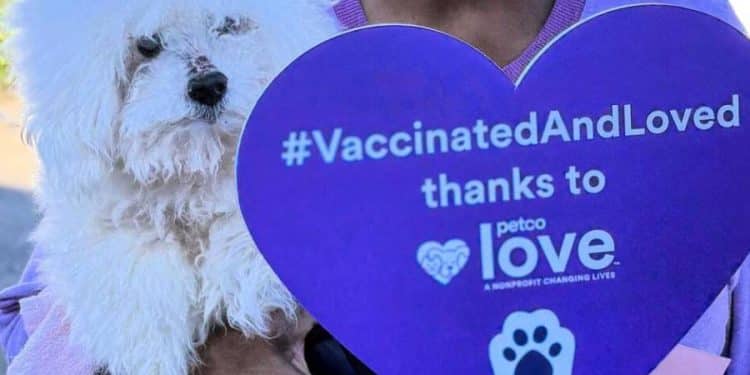 Petco Love: Tres millones de vacunas para mascotas
