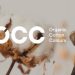 Recovo y Organic Cotton Colours: Alianza por la Sostenibilidad Textil