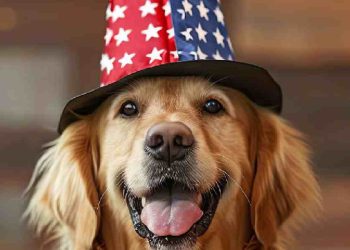 Revolución en Productos para Mascotas: Calidad Hecha en EE. UU.