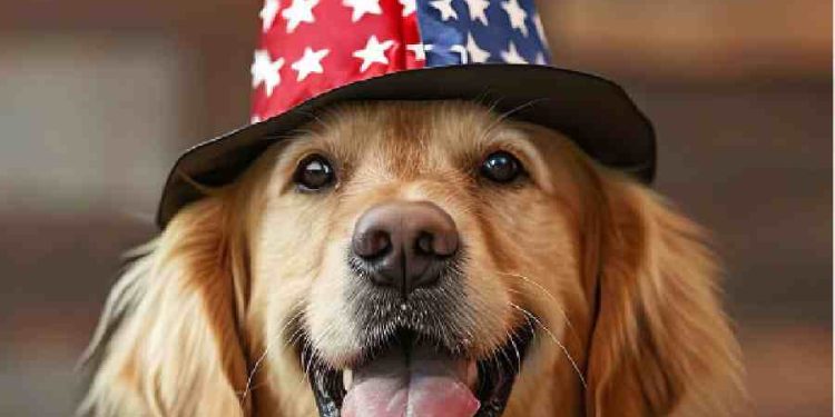 Revolución en Productos para Mascotas: Calidad Hecha en EE. UU.