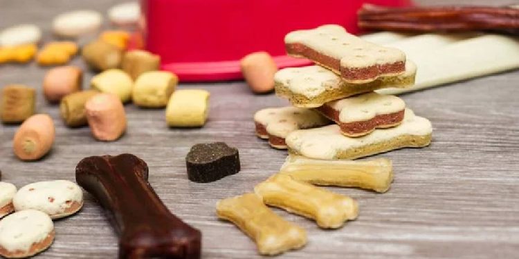 Snacks que Enamoran: Recompensas para tus Mascotas