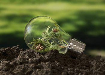 Economía circular y tecnología, claves para la sostenibilidad