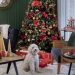 Tendencias navideñas decoración de casa Navidad