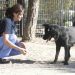 Unidos por nuestros animales