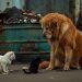 Urgente: Crisis de Mascotas Sin Hogar
