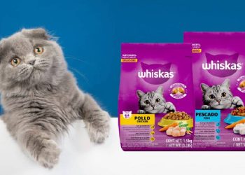 Whiskas y otras croquetas peligrosas para tu gato