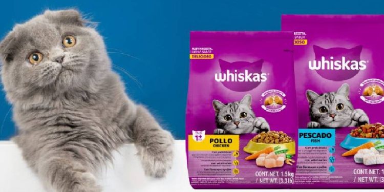 Whiskas y otras croquetas peligrosas para tu gato