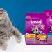 Whiskas y otras croquetas peligrosas para tu gato