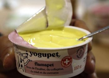 Yogupet: El yogur gourmet para tus mascotas
