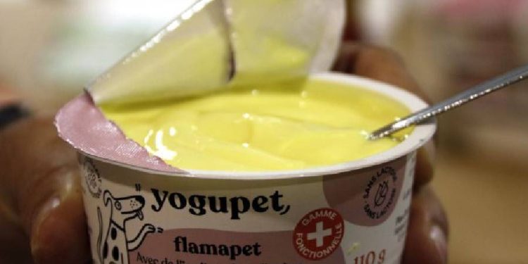 Yogupet: El yogur gourmet para tus mascotas