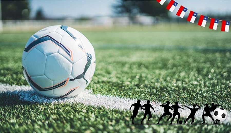 balón de fútbol Puma en campo